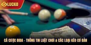 cá cược bida