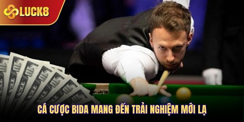 Cá cược bida mang đến trải nghiệm mới lạ