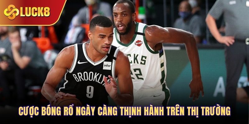 Cược bóng rổ ngày càng thịnh hành trên thị trường